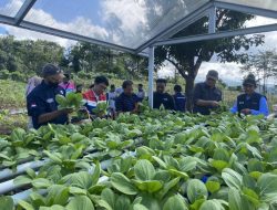 Melalui Program Pertamina Hijau,Kelompok Program Kampung Iklim Dusun Keranjang Tanam 500 Bibit Pohon