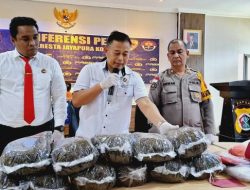 Pengembangan Kasus 9,6 Kg Ganja di Hamadi Tanjung, Kombes Alfian ucap Tersangka masih tertutup