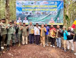 Pemprov Papua Barat Lepasliarkan 24 Satwa Endemik Papua di Distrik Mokwam