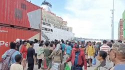 Sambut Libur Sekolah 2026, PELNI Jayapura Siapkan 8 Kapal untuk 10 Ribu Penumpang