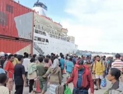 Sambut Libur Sekolah 2026, PELNI Jayapura Siapkan 8 Kapal untuk 10 Ribu Penumpang